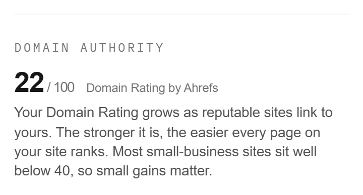 The report's domain authority block: 22 out of 100, attributed to Ahrefs Domain Rating, with a plain-English explanation.